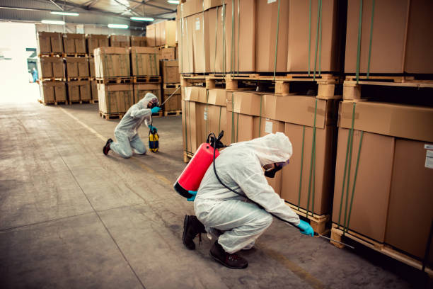 Best Emergency Pest Control  in Stanleytown, VA