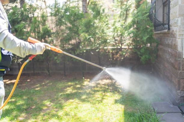 Professional Pest Control in Stanleytown, VA