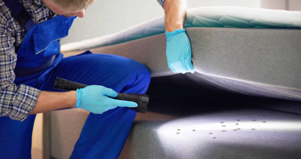 Best Rat Extermination Near Me  in Stanleytown, VA