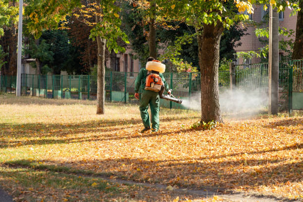 Best Best Pest Control Companies  in Stanleytown, VA