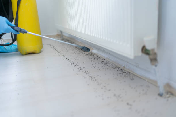 Best Pest Prevention Services  in Stanleytown, VA