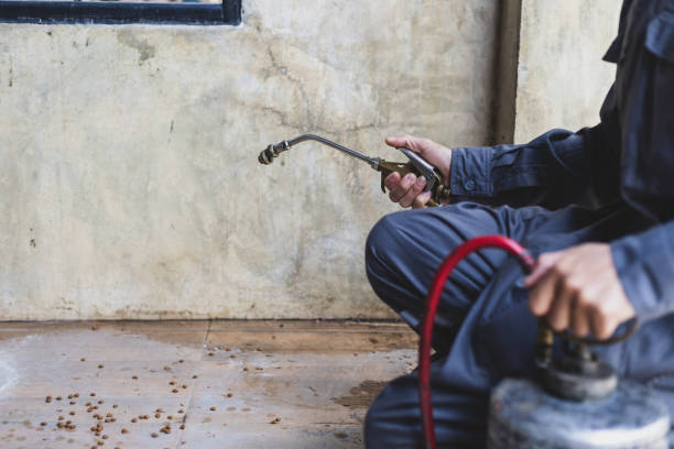 Best Best Pest Control Companies  in Stanleytown, VA
